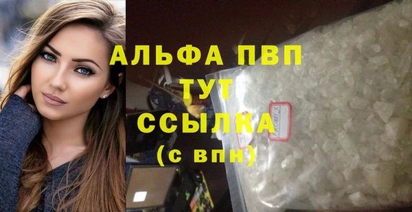 СК Магас
