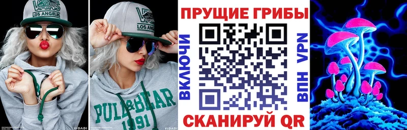 Галлюциногенные грибы мицелий  наркота  Мытищи 