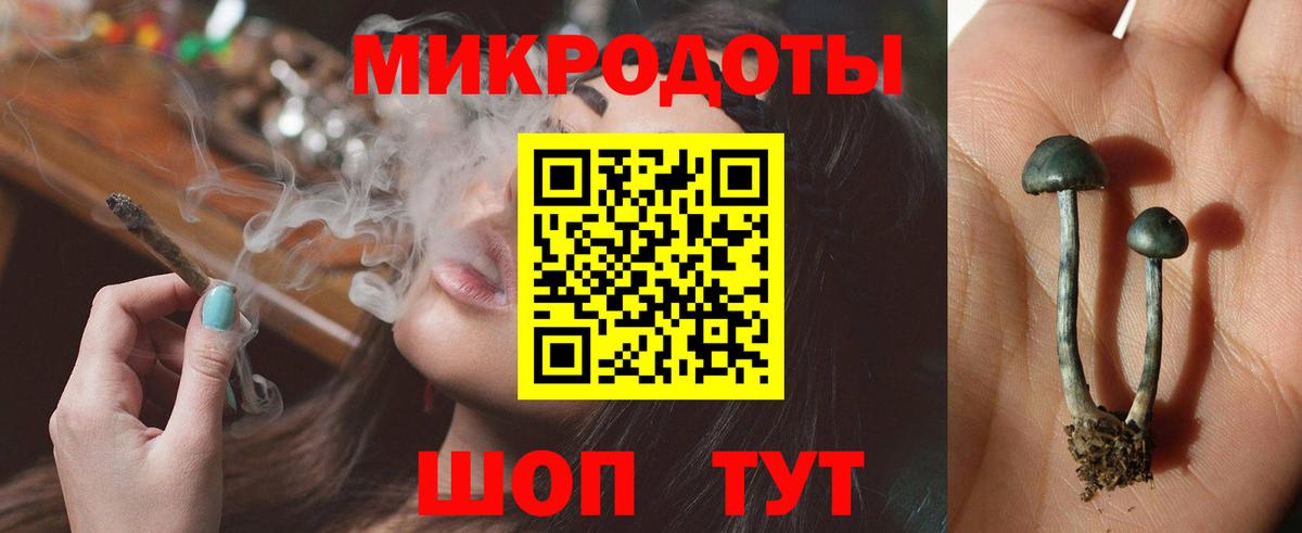 Галлюциногенные грибы MAGIC MUSHROOMS  Вход с VPN  Мытищи 